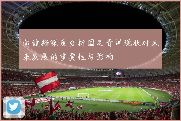 黄健翔深度分析国足青训现状对未来发展的重要性与影响