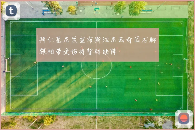 拜仁慕尼黑宣布斯坦尼西奇因右脚踝韧带受伤将暂时缺阵