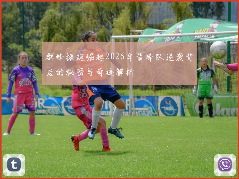 群蜂振翅崛起2026年黄蜂队逆袭背后的秘密与奇迹解析