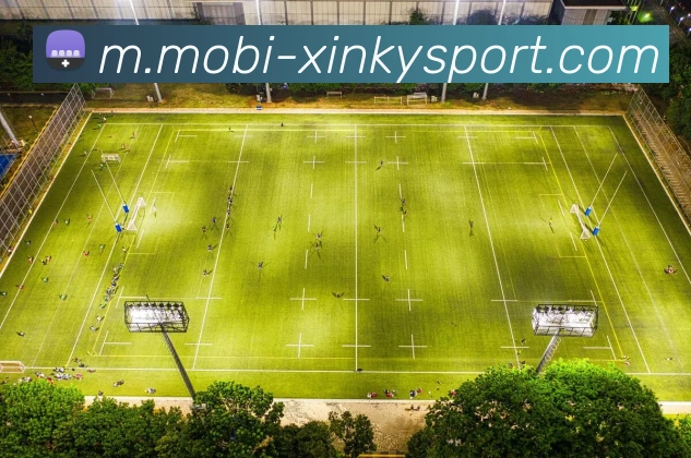 App Interface Preview