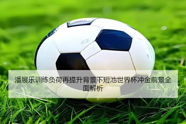 潘展乐训练负荷再提升背景下短池世界杯冲金前景全面解析 | KYgaming